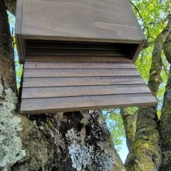 Nichoir Chauve-souris Bois FSC Petite Taille 13 Nichoir Chauve-souris Bois FSC Petite Taille -Fournitures De Volaille maison chauve souris petite vue dessous