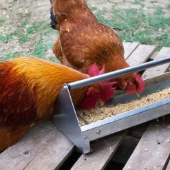 Mangeoire Linéaire Poule Spéciale Déchets Rivera Tôle Galvanisée 60cm - -Fournitures De Volaille mangeoire lineaire special dechets rivera utilisee