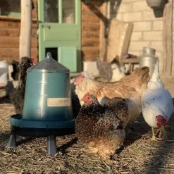 Mangeoire Poule à Pieds En Plastique Recyclé Eco 8Kg 10 Mangeoire Poule à Pieds En Plastique Recyclé Eco 8Kg -Fournitures De Volaille mangeoire poule plastique recycl 8kg avec beaucoup de poules
