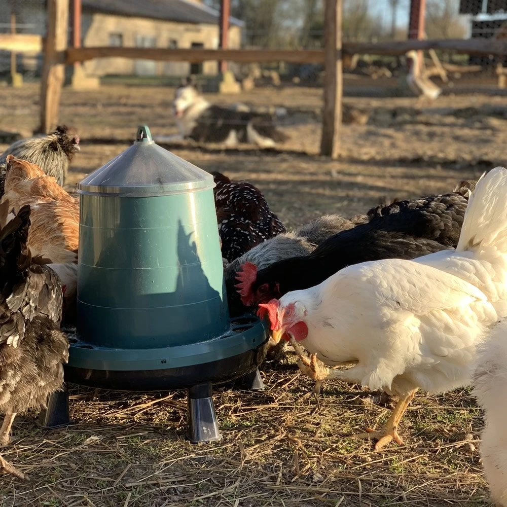 Mangeoire Poule à Pieds En Plastique Recyclé Eco 8Kg 8 Mangeoire Poule à Pieds En Plastique Recyclé Eco 8Kg – Image 6