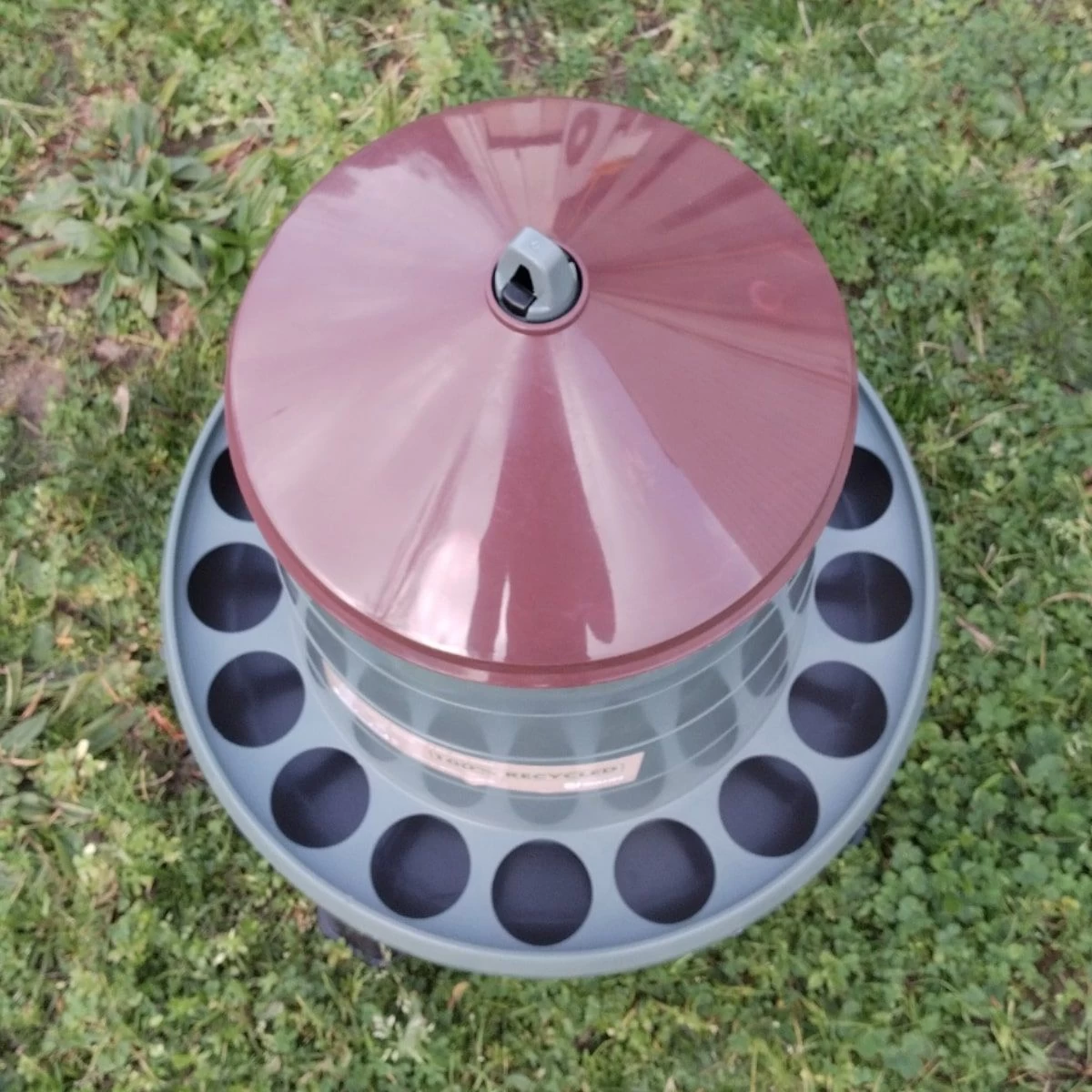 Mangeoire Poule à Pieds En Plastique Recyclé Eco 8Kg 5 Mangeoire Poule à Pieds En Plastique Recyclé Eco 8Kg – Image 3