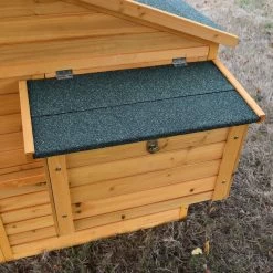 Poulailler Orava Toit Shingle Ouvrant Jusqu’à 4 Poules -Fournitures De Volaille orava vue pondoire ext rieur