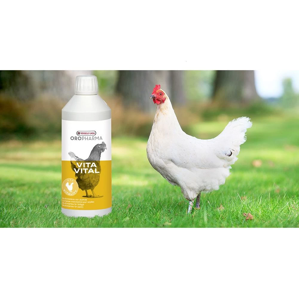 Complexe Multivitaminé Pour Volailles VitaVital 500ML - Versele Laga 4 Complexe Multivitaminé Pour Volailles VitaVital 500ML - Versele Laga – Image 2