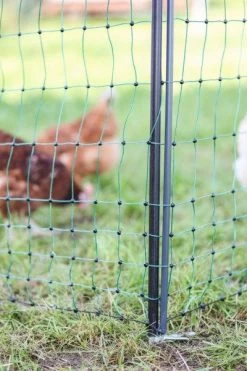 Piquet Support Pour Filet Poulailler Acier Galvanisé Et Gaine Plastique 120cm - Kerbl -Fournitures De Volaille piquet support pour filet o14mm 120cm kerbl vue 5 1