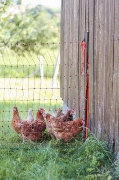 Piquet Support Pour Filet Poulailler Acier Galvanisé Et Gaine Plastique 120cm - Kerbl -Fournitures De Volaille piquet support pour filet o14mm 120cm kerbl vue 6 1