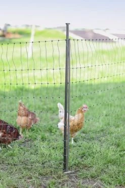 Piquet Support Pour Filet à Poules En Acier Galvanisé Et Gaine Plastique 120cm - Kerbl -Fournitures De Volaille piquet support pour filet o14mm 120cm kerbl vue 9