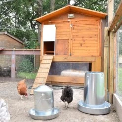 Poulailler Vorwerk Toit Shingle Jusqu’à 12 Poules Avec 2 Pondoirs -Fournitures De Volaille portier automatique poulailler zen farm vert ambiance 5