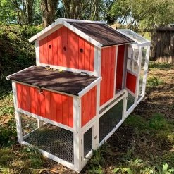 Poulailler Ardennais 6 à 8 Poules Toit Shingle -Fournitures De Volaille poulailler ardennais rouge 8 poules vue dos ouvert soleil