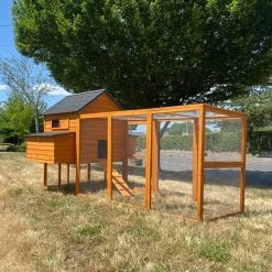 Poulailler Big Ben Toit Shingle 12 à 15 Poules