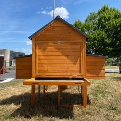 Poulailler Big Ben Toit Shingle 12 à 15 Poules -Fournitures De Volaille poulailler big ben 8 12 poules vue arri re