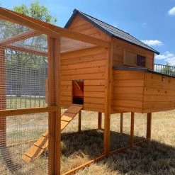 Poulailler Big Ben Toit Shingle 12 à 15 Poules -Fournitures De Volaille poulailler big ben 8 12 poules vue c t 2