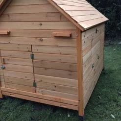 Poulailler Cémani XL Toit Bois 6 à 10 Poules 25 Poulailler Cémani XL Toit Bois 6 à 10 Poules -Fournitures De Volaille poulailler bois cemani xl 6 8 poules profil arriere ferme