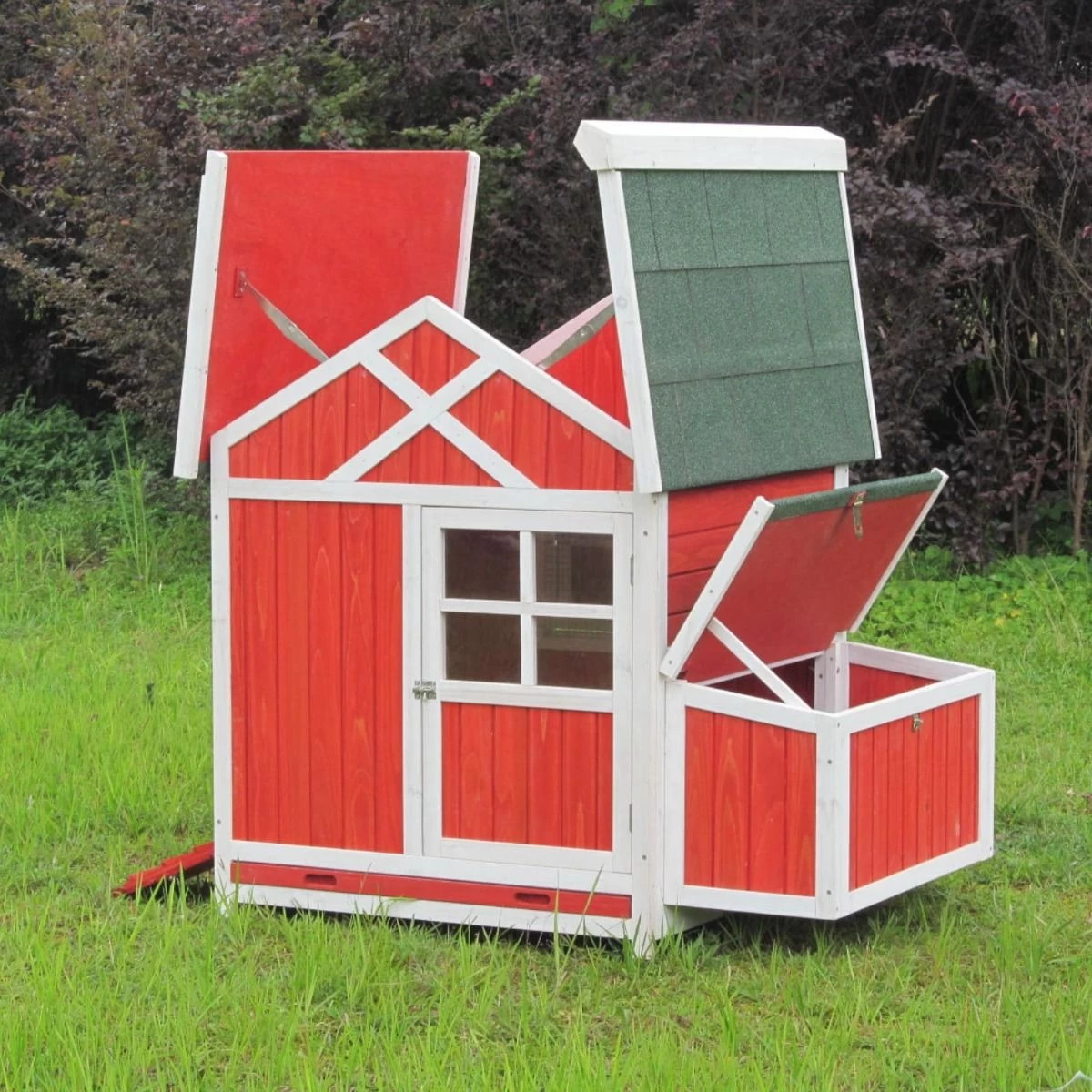 Poulailler Caussade Toit Shingle Vert Ouvrant 4 à 6 Poules 5 Poulailler Caussade Toit Shingle Vert Ouvrant 4 à 6 Poules – Image 3