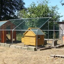 Poulailler Bassette L Toit Shingle Vert Jusqu'à 6 Poules -Fournitures De Volaille poulailler cemani dans parc grillage