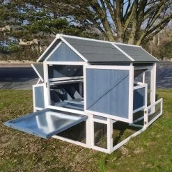 Poulailler Deluxe Bleu Toit Shingle Gris Jusqu’à 12 Poules 24 Poulailler Deluxe Bleu Toit Shingle Gris Jusqu’à 12 Poules -Fournitures De Volaille poulailler deluxe 12 poules bleu vue dos ouvert