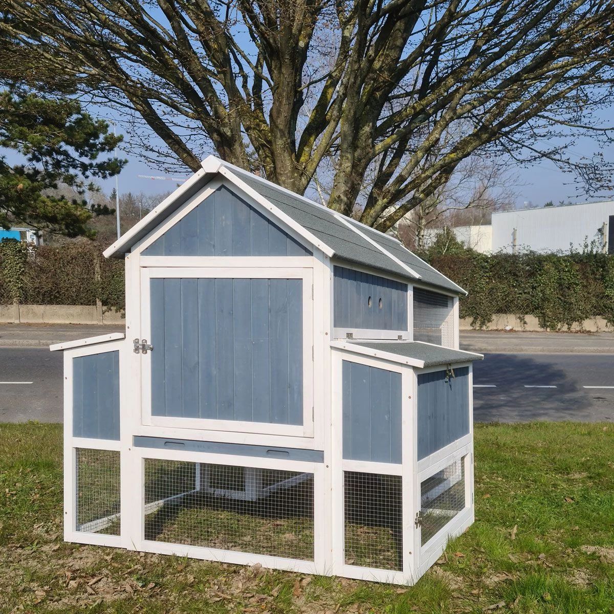 Poulailler Deluxe Bleu Toit Shingle Gris Jusqu’à 12 Poules 10 Poulailler Deluxe Bleu Toit Shingle Gris Jusqu’à 12 Poules – Image 8