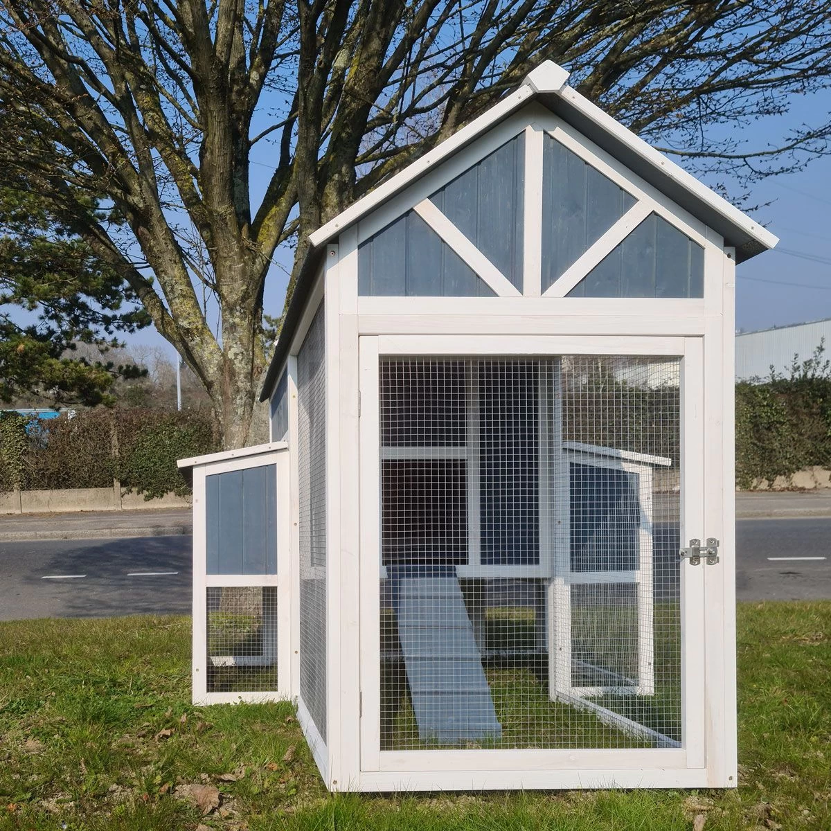 Poulailler Deluxe Bleu Toit Shingle Gris Jusqu’à 12 Poules 4 Poulailler Deluxe Bleu Toit Shingle Gris Jusqu’à 12 Poules – Image 2