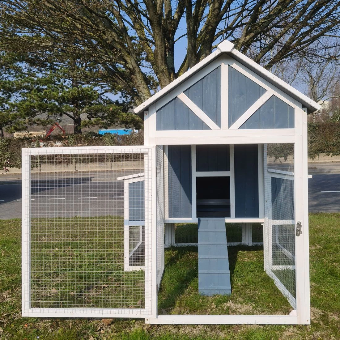 Poulailler Deluxe Bleu Toit Shingle Gris Jusqu’à 12 Poules 5 Poulailler Deluxe Bleu Toit Shingle Gris Jusqu’à 12 Poules – Image 3