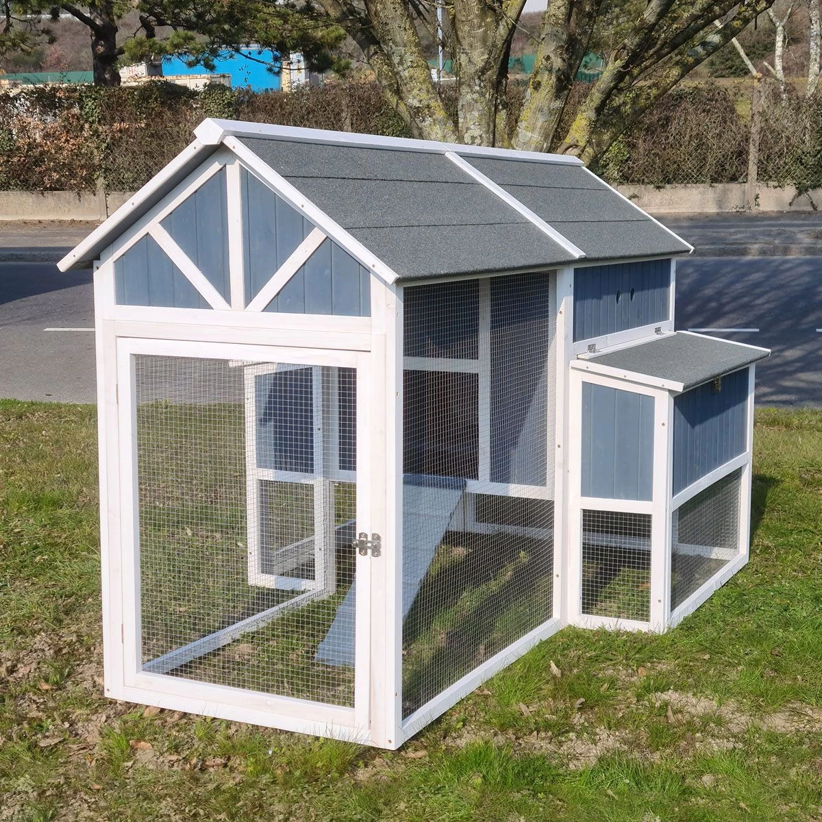 Poulailler Deluxe Bleu Toit Shingle Gris Jusqu’à 12 Poules 6 Poulailler Deluxe Bleu Toit Shingle Gris Jusqu’à 12 Poules – Image 4
