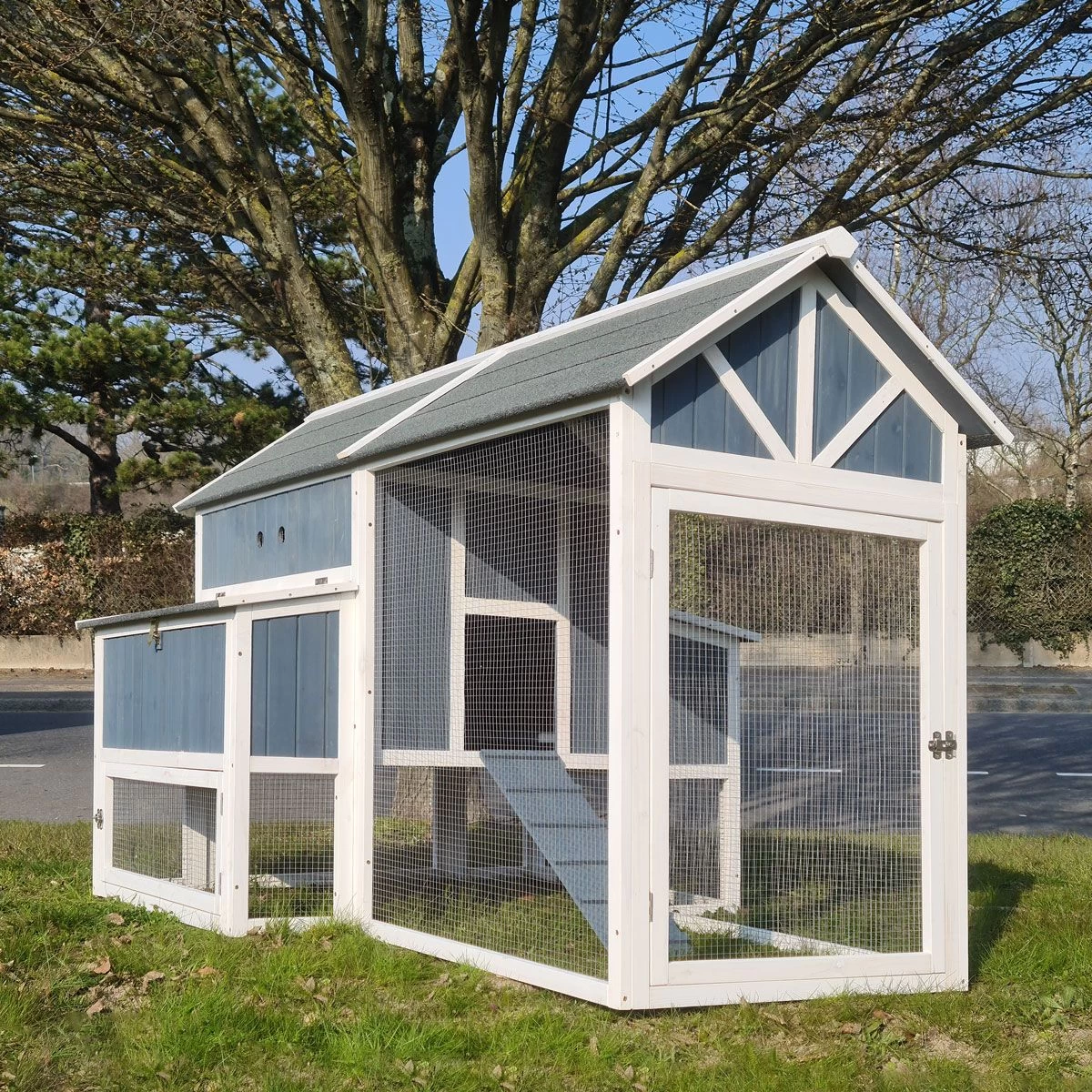 Poulailler Deluxe Bleu Toit Shingle Gris Jusqu’à 12 Poules 3 Poulailler Deluxe Bleu Toit Shingle Gris Jusqu’à 12 Poules