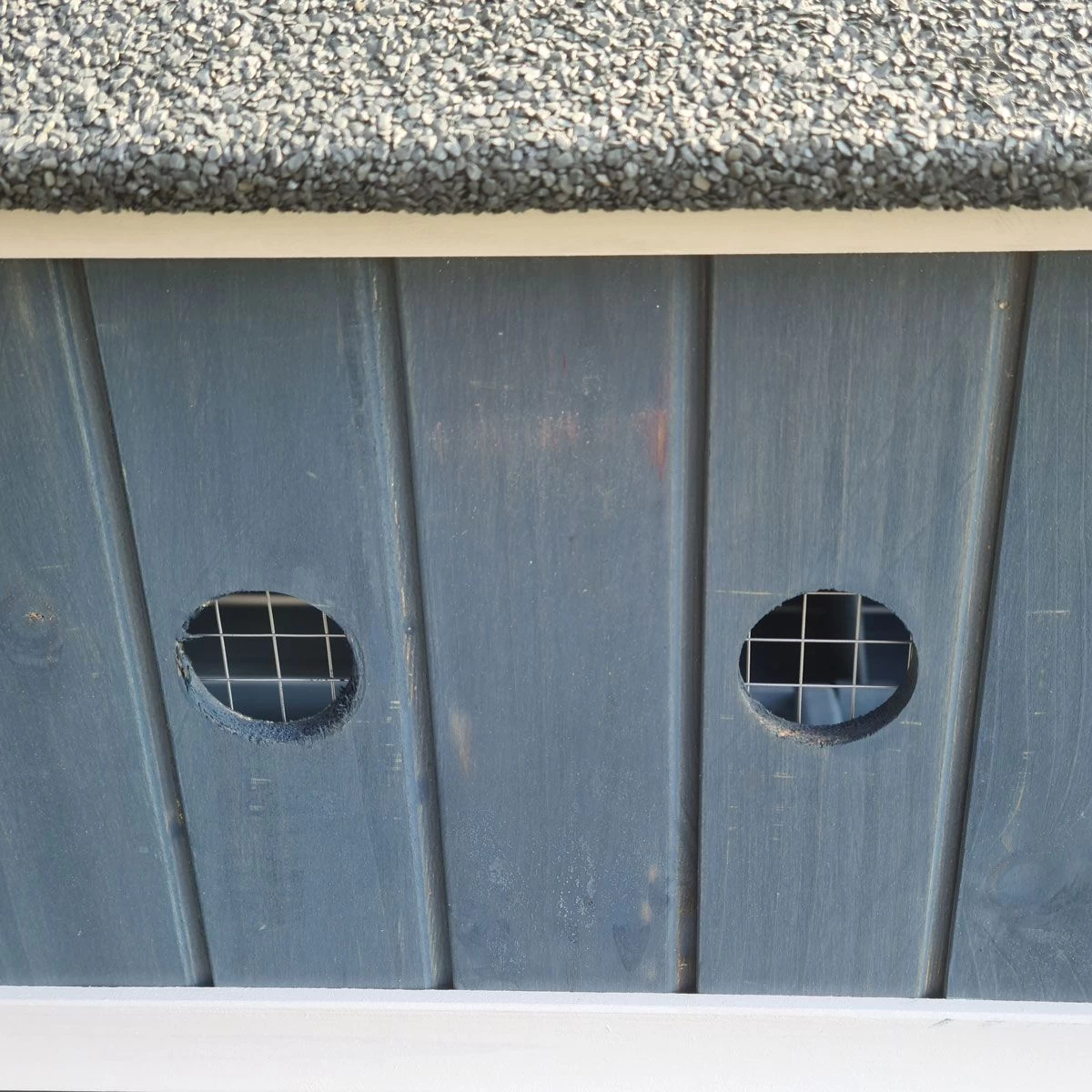 Poulailler Deluxe Bleu Toit Shingle Gris Jusqu’à 12 Poules 13 Poulailler Deluxe Bleu Toit Shingle Gris Jusqu’à 12 Poules – Image 11