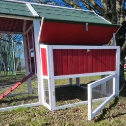 Poulailler Deluxe Rouge Toit Shingle Vert Jusqu’à 12 Poules V3.0 -Fournitures De Volaille poulailler deluxe rouge toit vert 12 poules vue enclos ouvert