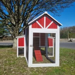 Poulailler Deluxe Rouge Toit Shingle Vert Jusqu’à 12 Poules V3.0 -Fournitures De Volaille poulailler deluxe rouge toit vert 12 poules vue face ferme