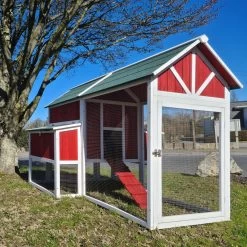 Fournitures De Volaille 14 Poulailler Deluxe Rouge Toit Shingle Vert Jusqu’à 12 Poules V3.0