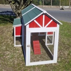 Fournitures De Volaille -Fournitures De Volaille poulailler deluxe rouge toit vert 12 poules vue toit cote droit