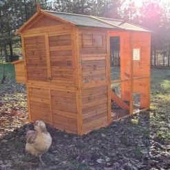 Poulailler Gaulois II Toit Shingle Jusqu’à 10 Poules -Fournitures De Volaille poulailler gaulois ii 4 a 6 poules avec poules arriere