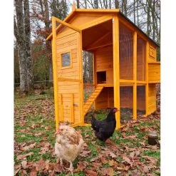 Poulailler Gaulois II Toit Shingle Jusqu’à 10 Poules -Fournitures De Volaille poulailler gaulois ii 4 a 6 poules avec poules avant ouvert