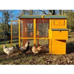 Poulailler Gaulois II Toit Shingle Jusqu’à 10 Poules -Fournitures De Volaille poulailler gaulois ii 4 a 6 poules avec poules cote