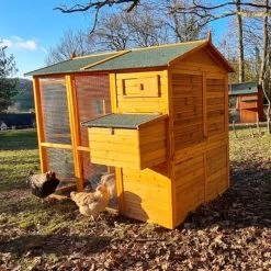 Poulailler Gaulois II Toit Shingle Jusqu’à 10 Poules -Fournitures De Volaille poulailler gaulois ii 4 a 6 poules avec poules profil arriere