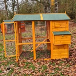 Poulailler Gaulois II Toit Shingle Jusqu’à 10 Poules Avec Extension Parc Grillagé -Fournitures De Volaille poulailler gaulois ii 4 a 6 poules cote porte ouverte feuilles 1
