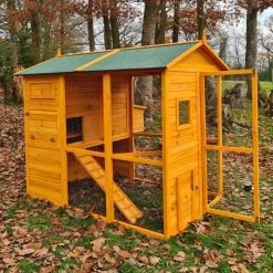 Poulailler Gaulois II Toit Shingle Jusqu’à 10 Poules Avec Extension Parc Grillagé -Fournitures De Volaille poulailler gaulois ii 4 a 6 poules cote porte ouverte 1