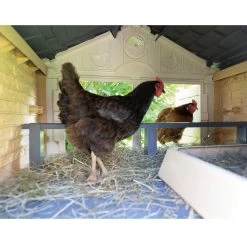 Poulailler Made In Jura En Plastique Jusqu’à 5 Poules - Smoby -Fournitures De Volaille poulailler plastique mij smoby interieur