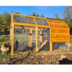 Poulailler Rhode Island Bois FSC 4 à 6 Poules -Fournitures De Volaille poulailler rhode island bois fsc avec poules cote soleil 1