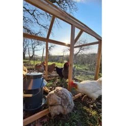 Poulailler Rhode Island Bois FSC 4 à 6 Poules -Fournitures De Volaille poulailler rhode island bois fsc avec poules parc ouvert soleil