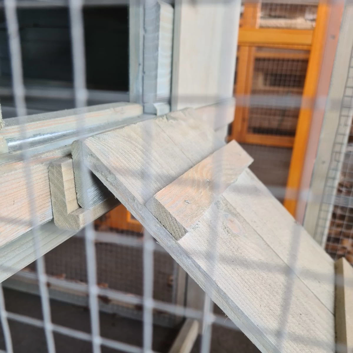 Poulailler Scandinave Toit Shingle Ouvrant 6 à 8 Poules Bois Epicéa 11 Poulailler Scandinave Toit Shingle Ouvrant 6 à 8 Poules Bois Epicéa – Image 9