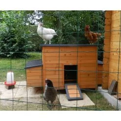 Poulailler Sussex XL Toit Shingle Noir Ouvrant 6 à 10 Poules Bois FSC -Fournitures De Volaille poulailler sussex xl deux pondoirs vue avant