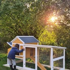 Poulailler Toit Renforcé M Toit Plastique Jusqu’à 8 Poules 41 Poulailler Toit Renforcé M Toit Plastique Jusqu’à 8 Poules -Fournitures De Volaille poulailler toit renforce