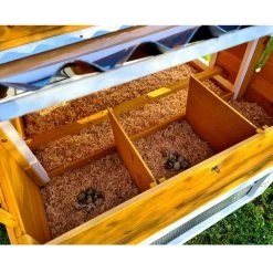 Poulailler Toit Renforcé M Toit Plastique Jusqu’à 8 Poules 30 Poulailler Toit Renforcé M Toit Plastique Jusqu’à 8 Poules -Fournitures De Volaille poulailler toit renforce 6 a 8 poules detail pondoir