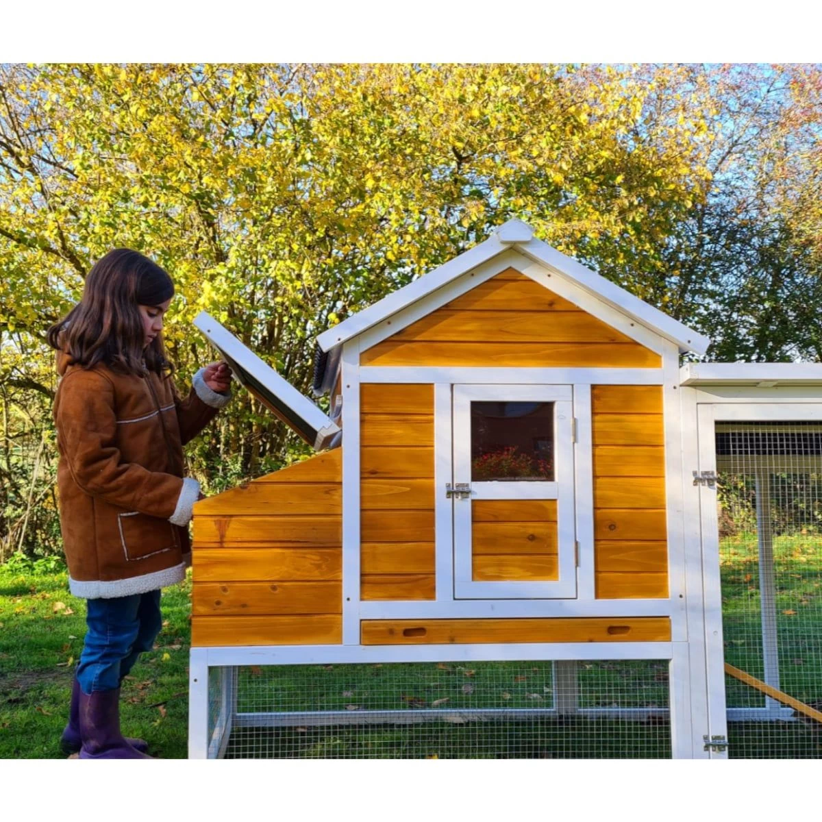 Poulailler Toit Renforcé M Toit Plastique Jusqu’à 8 Poules 21 Poulailler Toit Renforcé M Toit Plastique Jusqu’à 8 Poules – Image 19