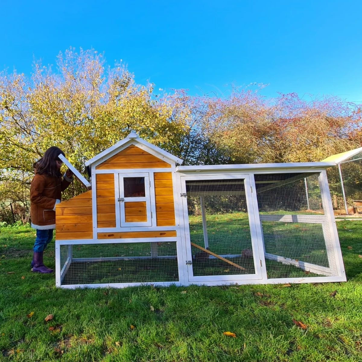 Poulailler Toit Renforcé M Toit Plastique Jusqu’à 8 Poules 20 Poulailler Toit Renforcé M Toit Plastique Jusqu’à 8 Poules – Image 18