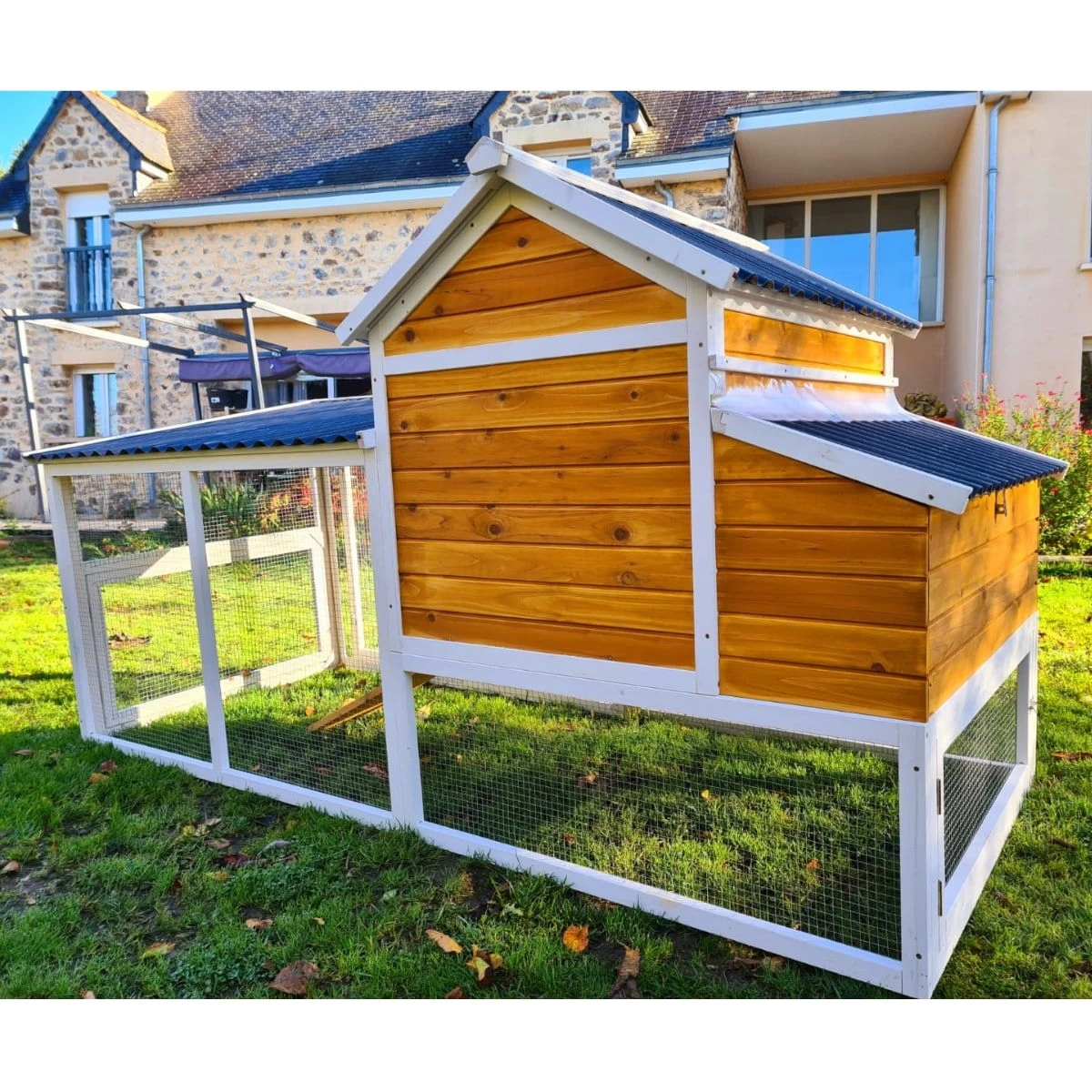 Poulailler Toit Renforcé M Toit Plastique Jusqu’à 8 Poules 18 Poulailler Toit Renforcé M Toit Plastique Jusqu’à 8 Poules – Image 16