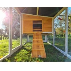 Poulailler Toit Renforcé M Toit Plastique Jusqu’à 8 Poules 35 Poulailler Toit Renforcé M Toit Plastique Jusqu’à 8 Poules -Fournitures De Volaille poulailler toit renforce 6 a 8 poules vue interieur parc