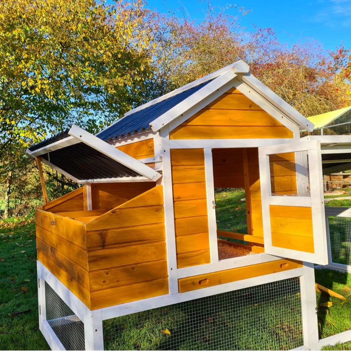 Poulailler Toit Renforcé M Toit Plastique Jusqu’à 8 Poules 9 Poulailler Toit Renforcé M Toit Plastique Jusqu’à 8 Poules – Image 7