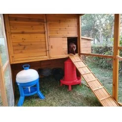 Poulailler Gournay Toit Shingle Jusqu’à 12 Poules -Fournitures De Volaille poulailler gournay 10 a 12 poules toit shingle vue interieur