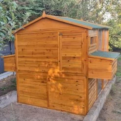 Poulailler Gournay Toit Shingle Jusqu’à 12 Poules -Fournitures De Volaille poulailler gournay 10 a 12 poules vue arriere