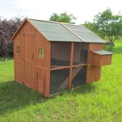 Poulailler Marans Toit Shingle Jusqu’à 18 Poules